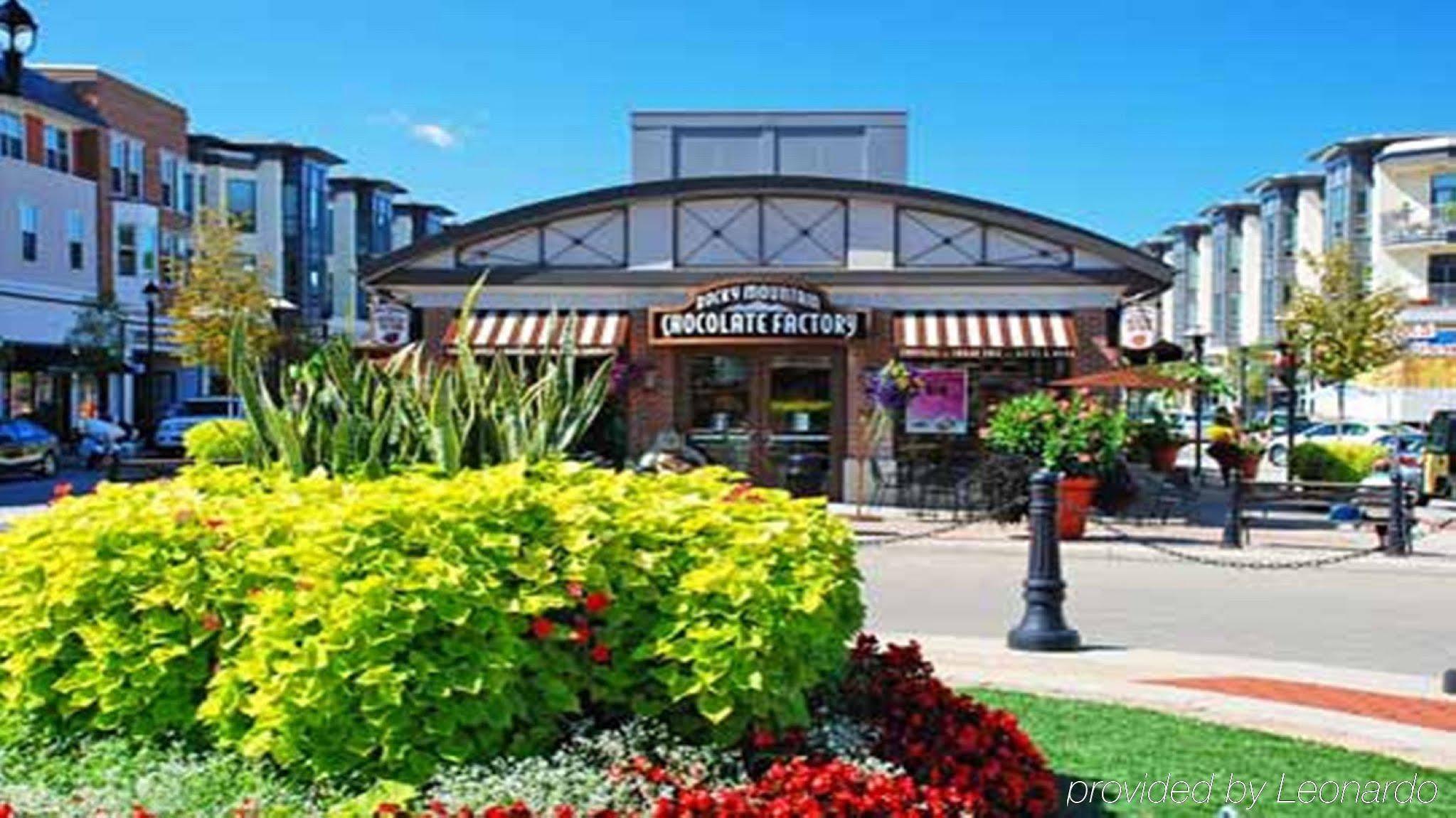 Sonesta Simply Suites Cleveland North Olmsted Airport מראה חיצוני תמונה
