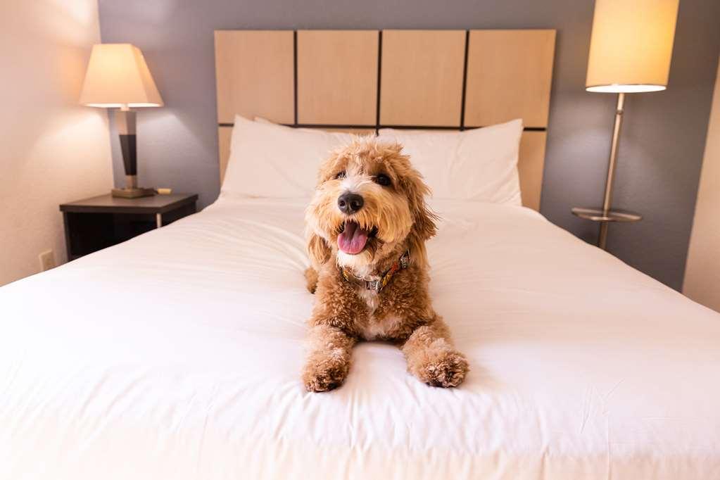 Sonesta Simply Suites Cleveland North Olmsted Airport מראה חיצוני תמונה
